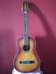 Viola com 6 cordas