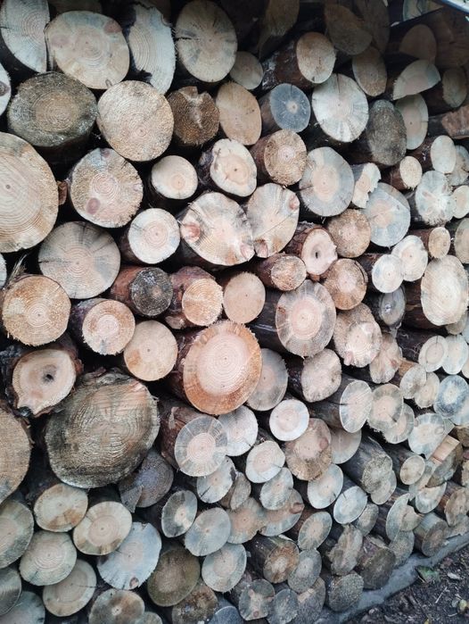 Drewno kominkowe opałowe pocięte Sosna, Buk, Brzoza , Transport