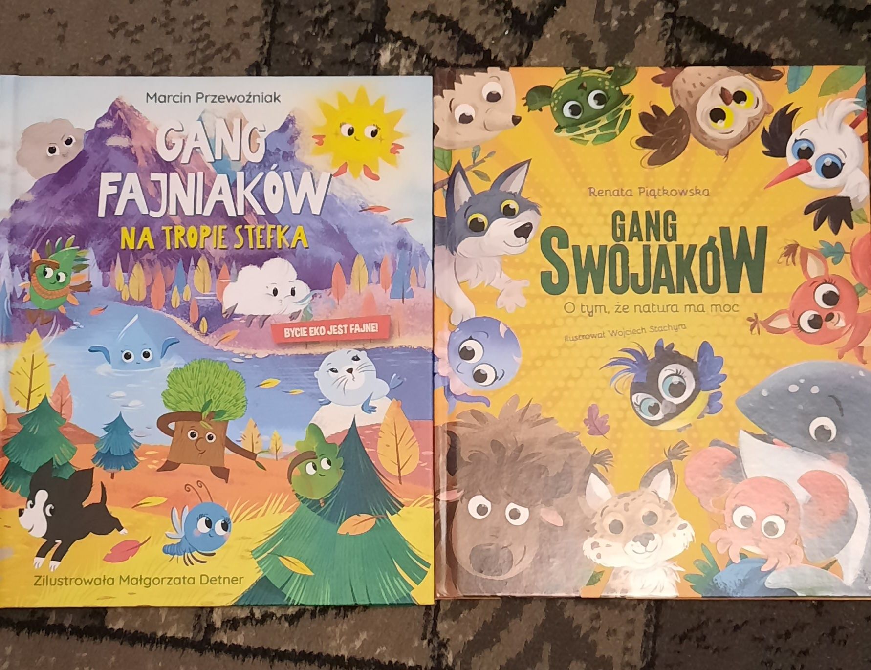 Książka dla dzieci Gang fajniaków , Gang Swojaków