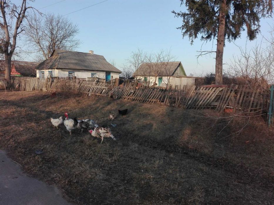 Житомир Продам будинок з Земельною ділянкою!