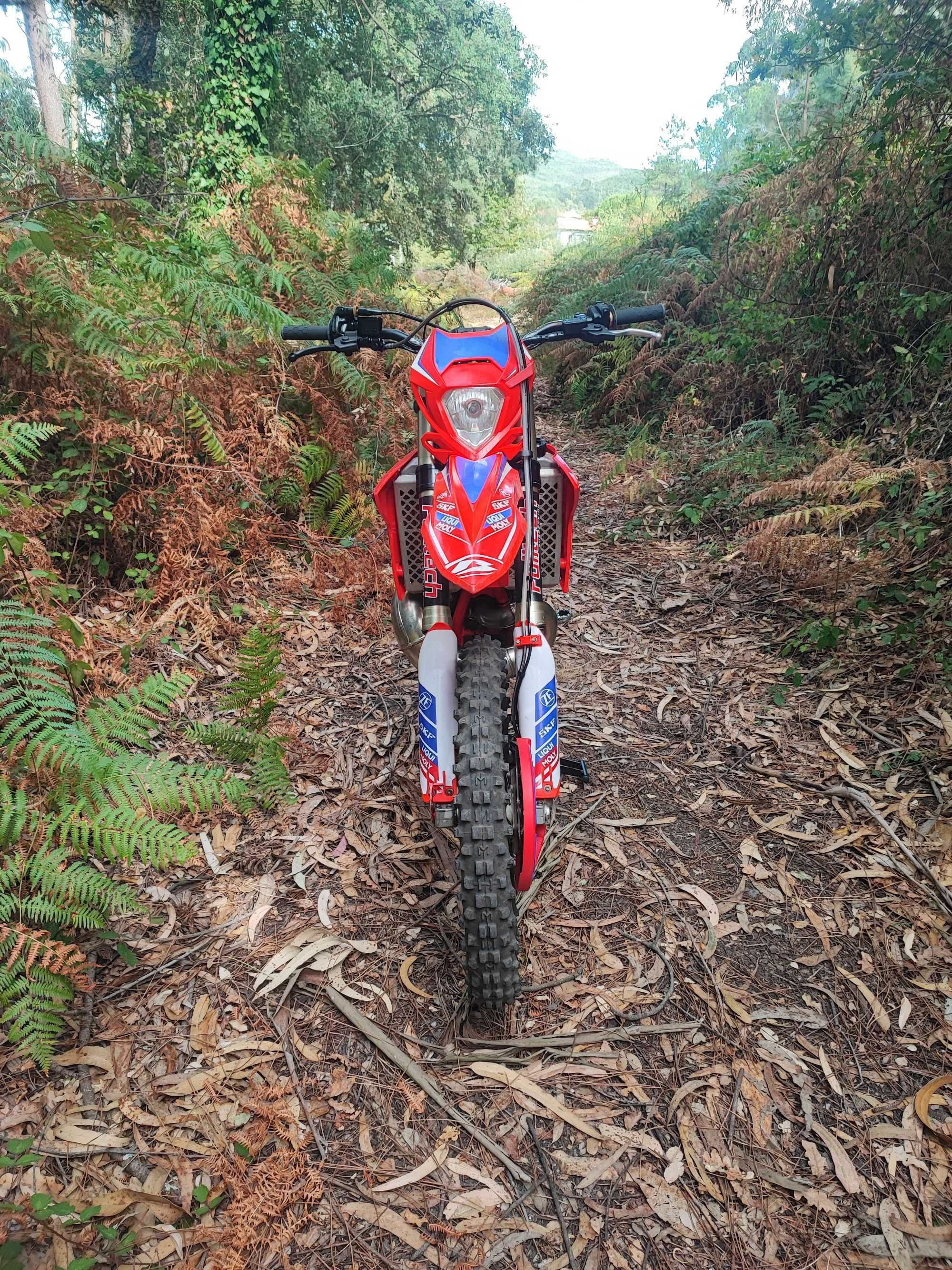 Beta RR300 Rancing 2021