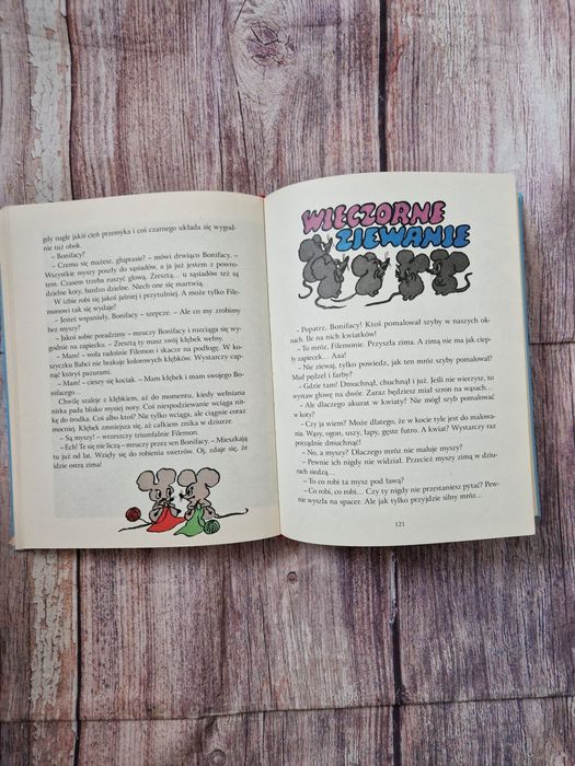 Przygody kota Filemona wyd. Nasza księgarnia