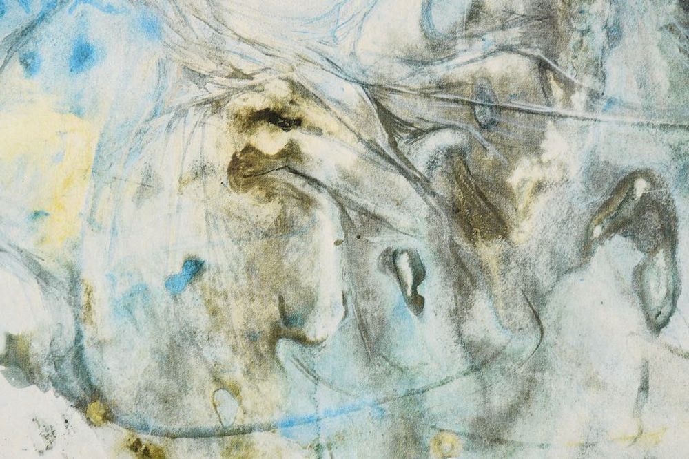 Salvador Dali Litografia