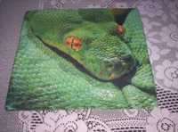 Wąż żmija anakonda pyton kobra poszewka połwłoczka na poduszke jaśka