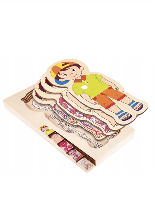 Пазл тіло людини