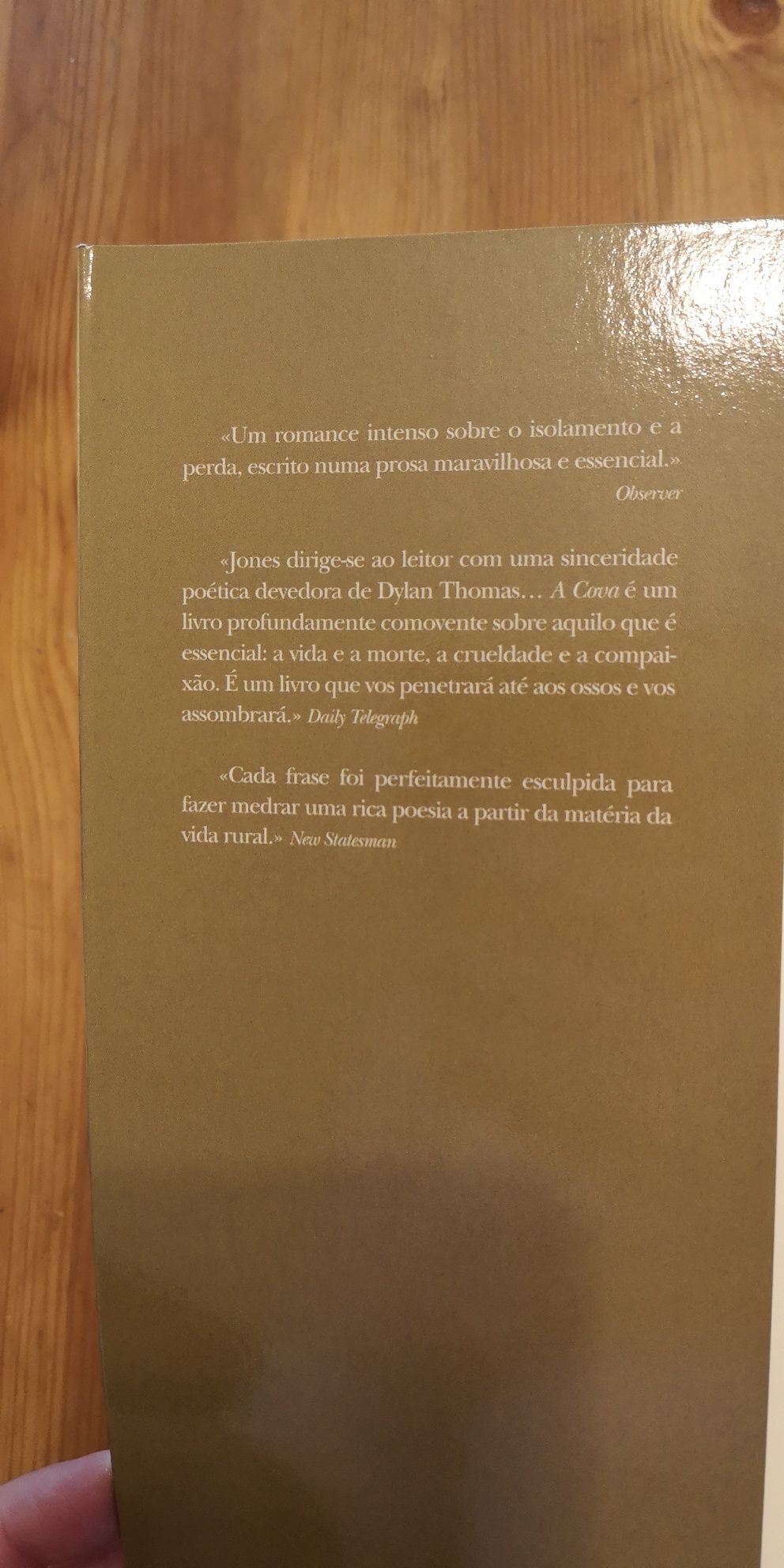 "A Cova", de Cynan Jones LIVRO NOVO