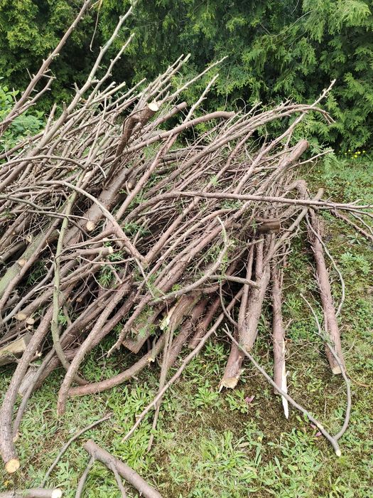 Drewno, gałęzie do oddania