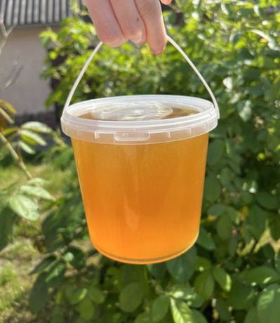 Продам натуральний свіжий мед