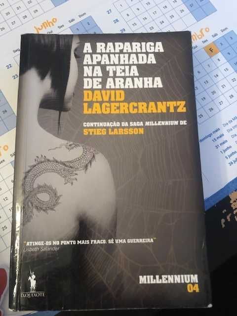 Vários Livros. Autores E.L. James, Leonor Sousa e Stieg Larsson