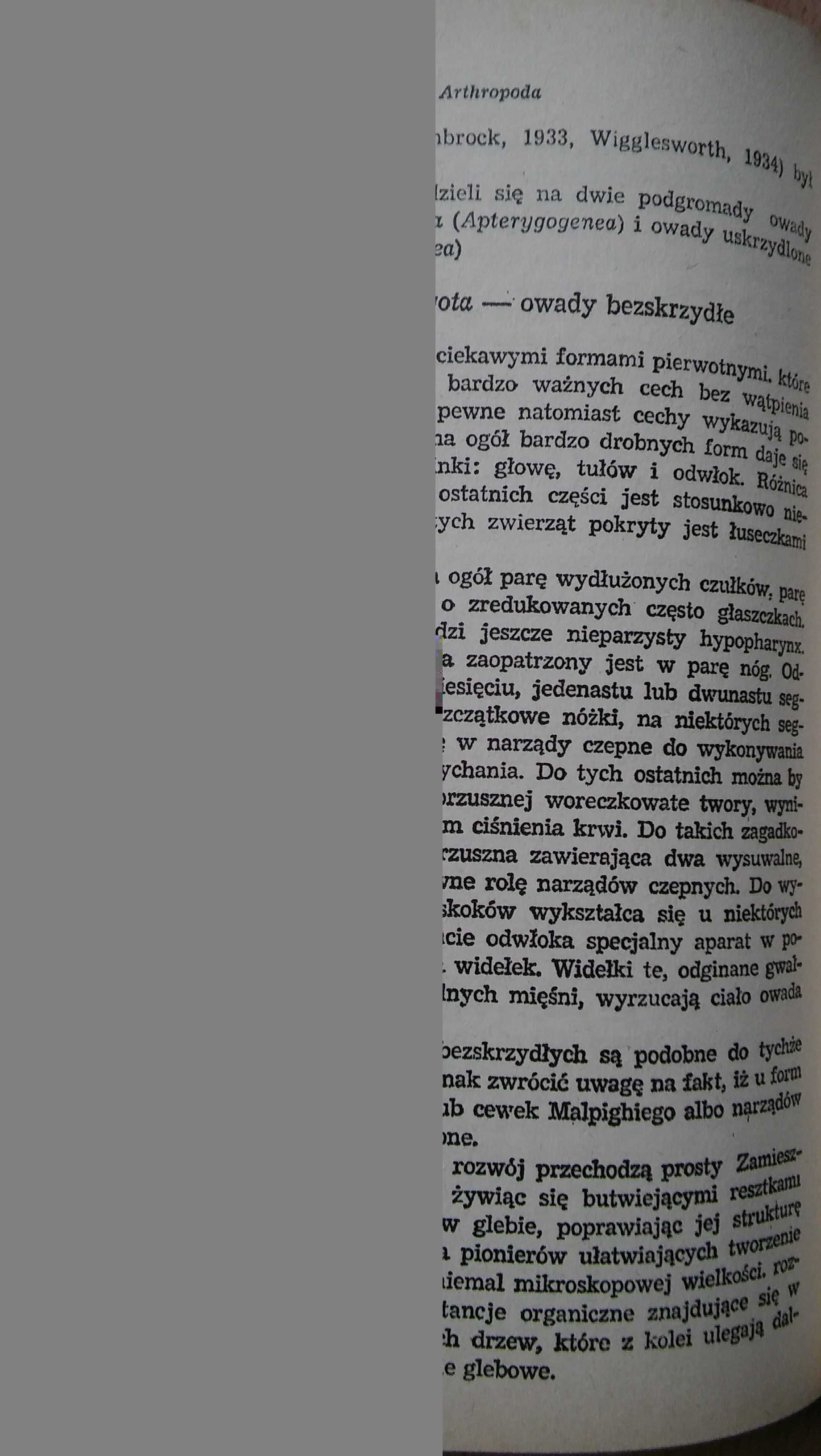 Zoologia. Wydanie V,  Stanisław Chudoba