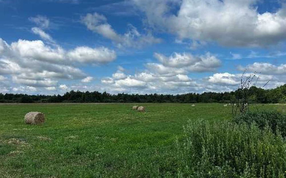 Syndyk sprzeda – udział w nieruchomości gruntowej w Romanowie Dolnym