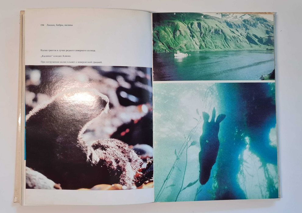 Жак-Ив Кусто Ив Паккале Лососи, бобры, каланы издание 1983 года