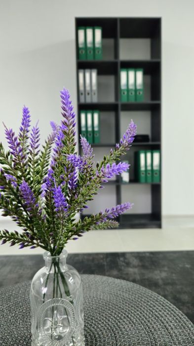 Бухгалтер для ТОВ/ФОП, ПДВ, Акциз, Кадри, Звітність