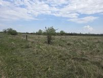 Продаж ділянки під будівництво с.Березівка (26152051)