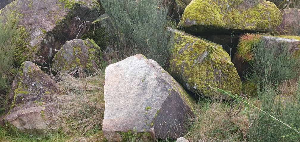 Pedra para suporte de muros