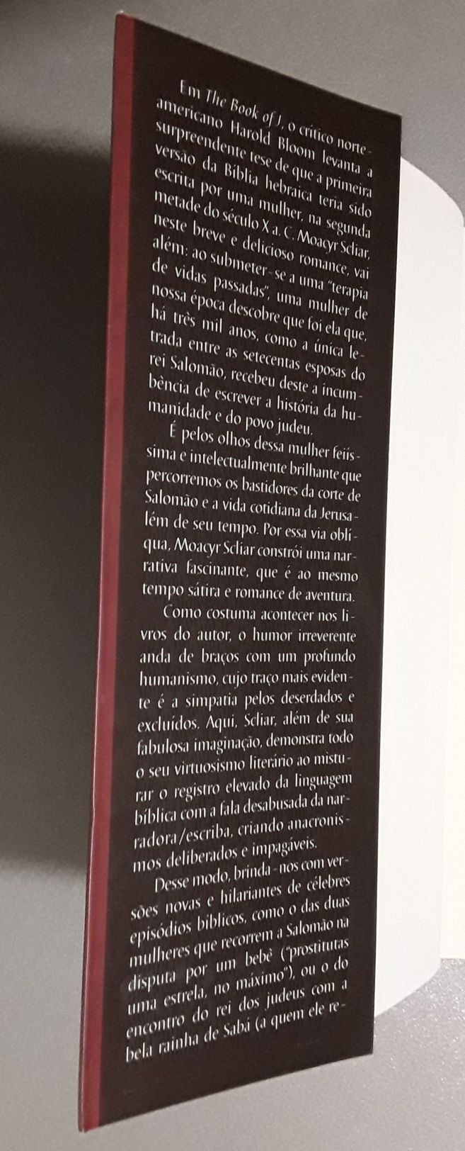 Livro: A mulher que escreveu a Bíblia, de Moacyr Scliar