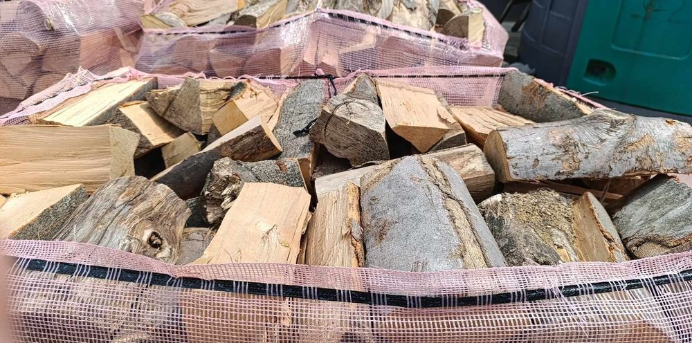 Drzewo rąbane buk I dąb