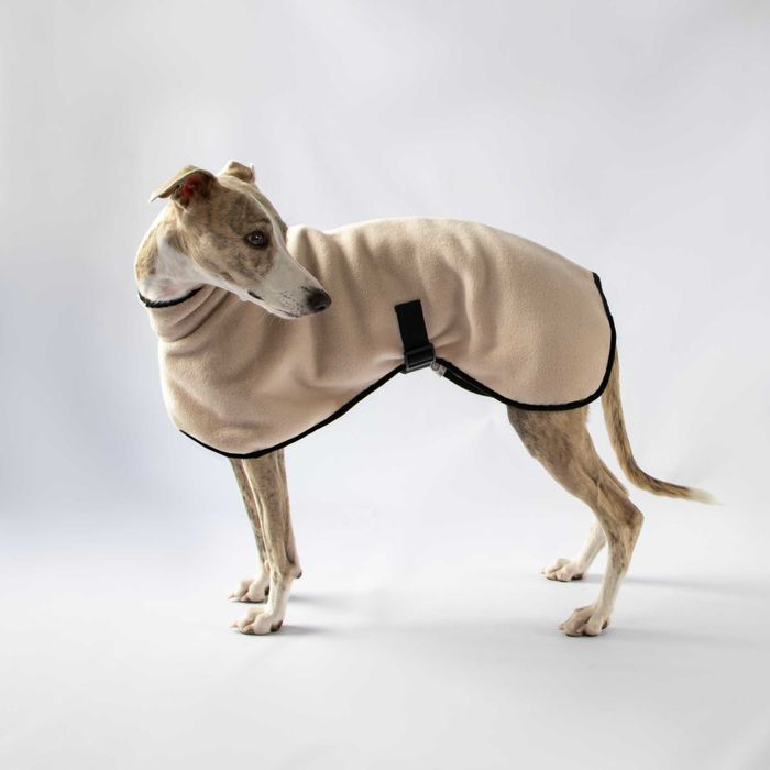 Polarowy sweterek na pieska, charta, whippeta, charcika