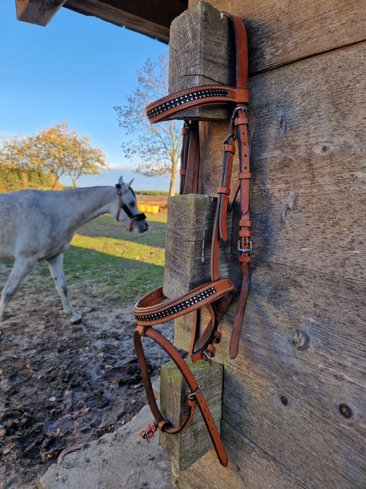 Ogłowia pony, cob i full