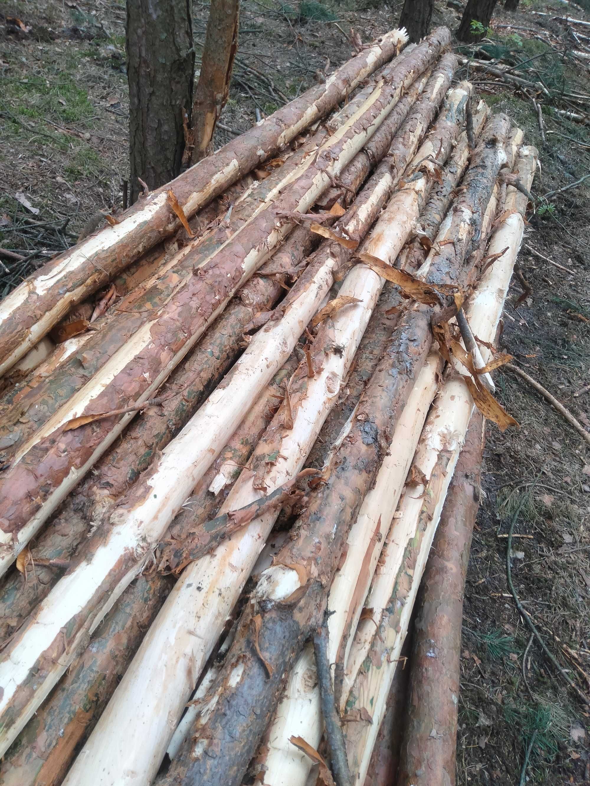 Stemple budowlane drewniane kołki słupki różne długości
