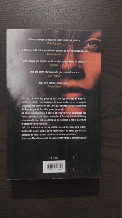 Erik Axl Sund - As Instruções da Pitonisa