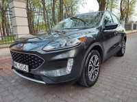 Ford Kuga Ford Kuga Escape w wersji SEL