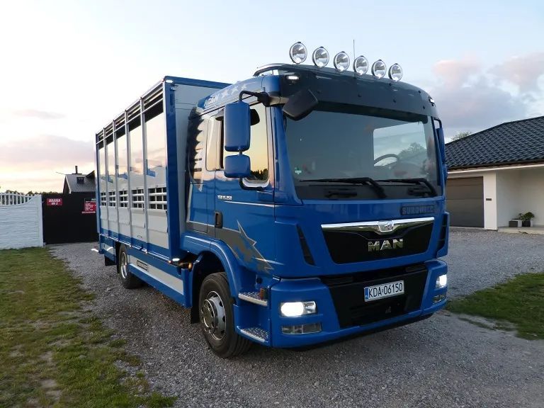 MAN TGM 15.250 DO ŻYWCA / ZWIERZĄT / BYDŁA / WAGA EL/. EURO 6 / DŁ. 5.20M /XENON  na poduszkach , super stan