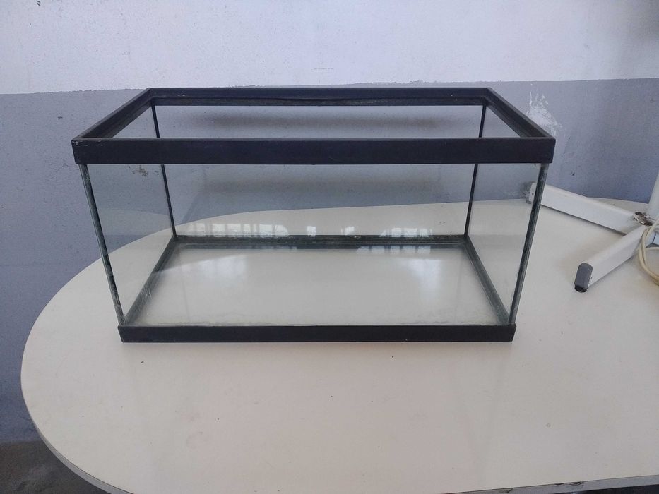 Aquário em bom estado