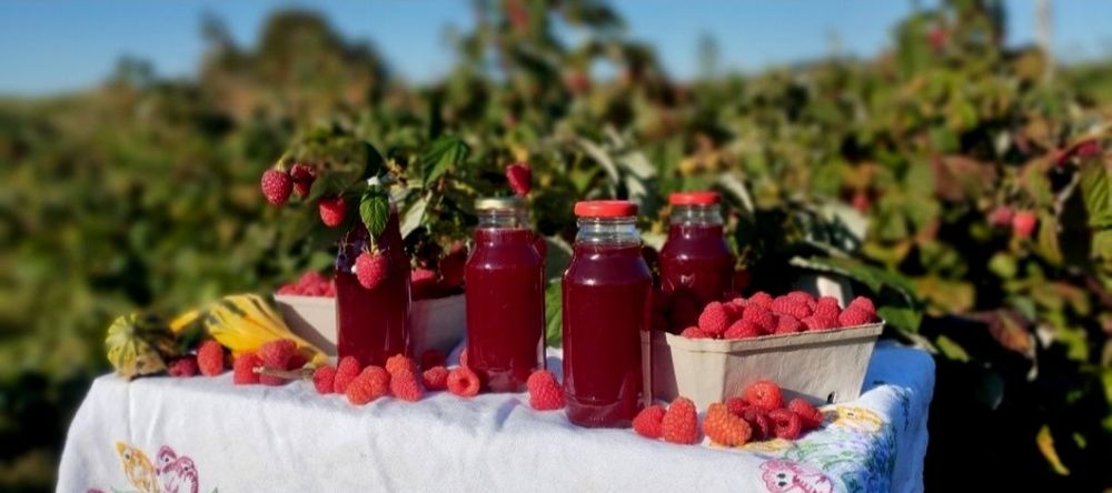 Domowy sok malinowy 330ml