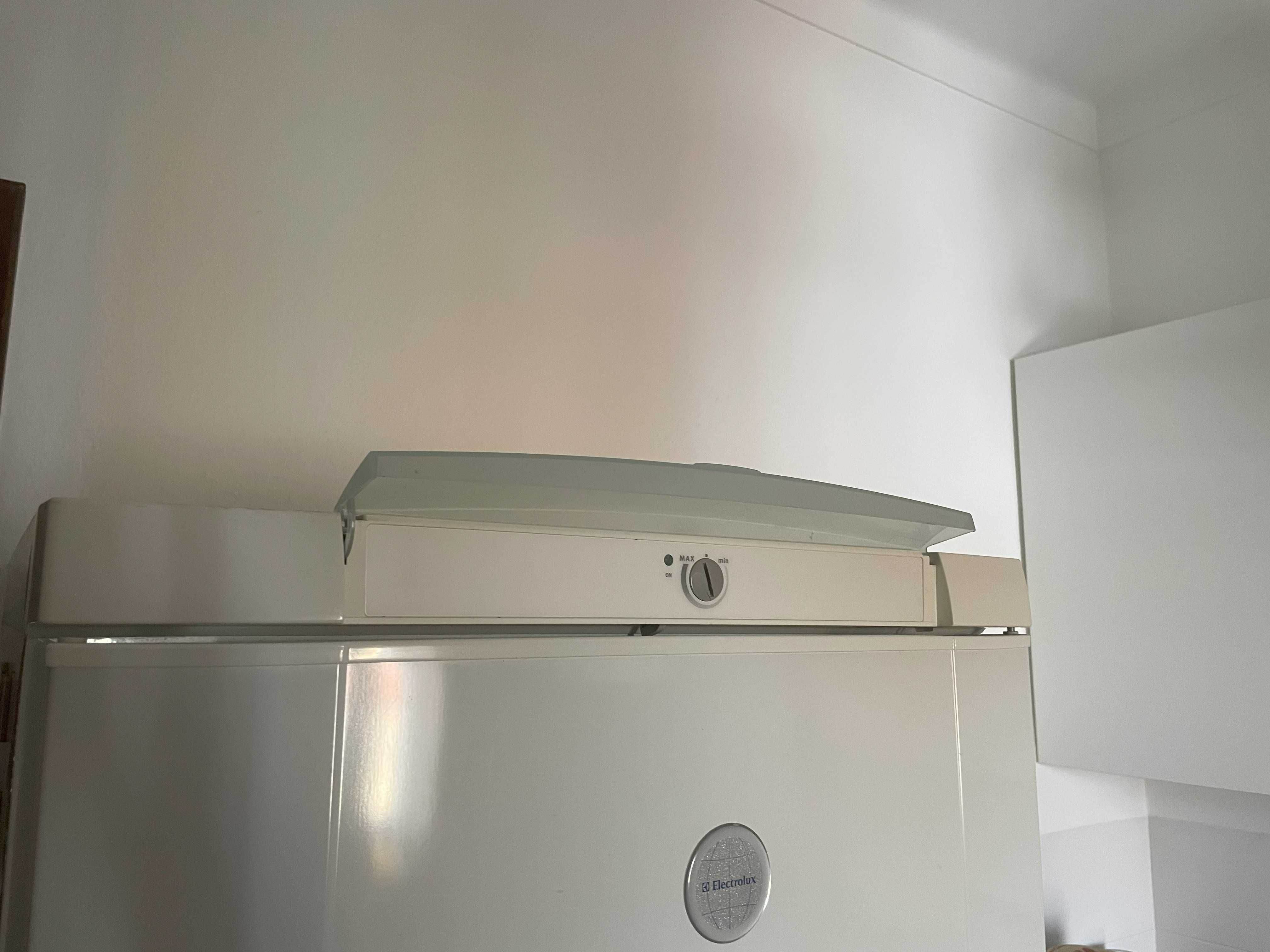 Frigorífico Electrolux (1,80 m)