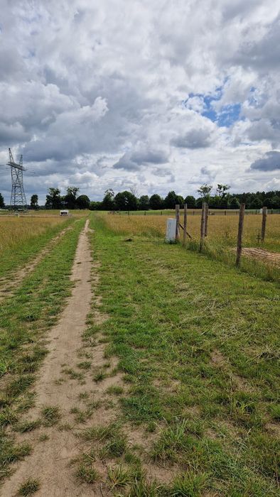 Sprzedam działkę Przybiernów koło Goleniowa