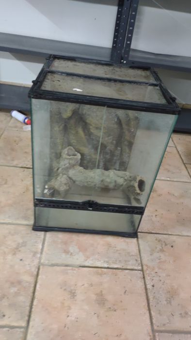 Terrarium 60x45x45 + pusty korzeń 50cm + 2 kryjówki