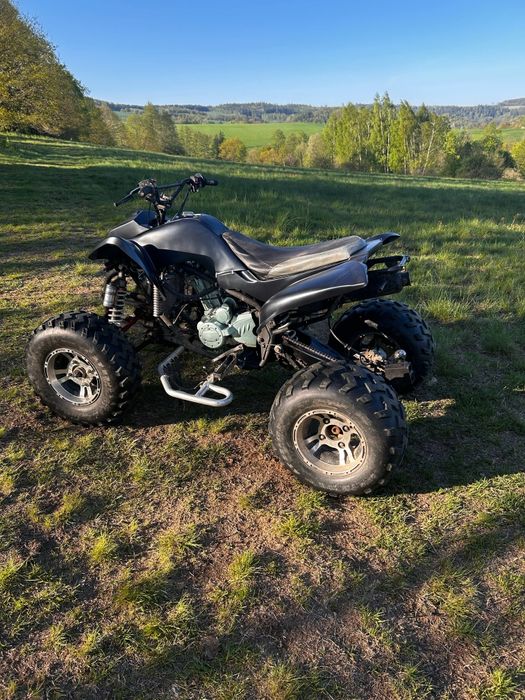 Bashan 200 eagle