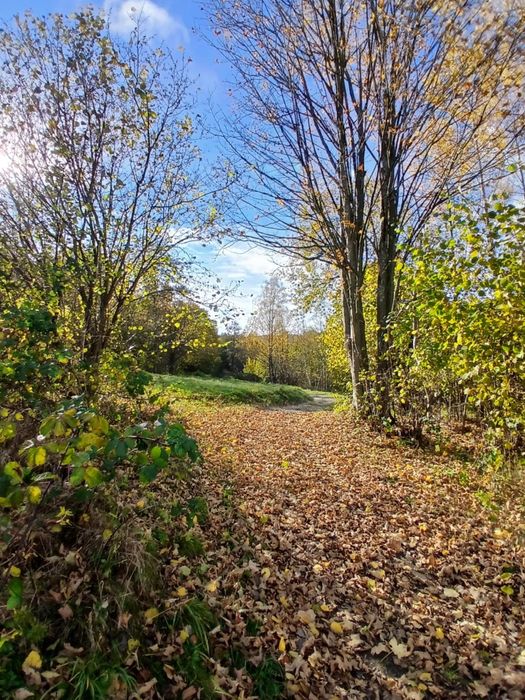 Działka rolna w górach.