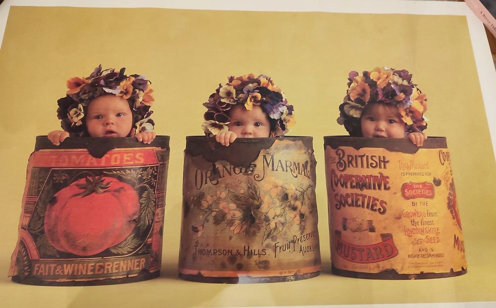 Anne Geddes - Impressão - 1995 - Vintage