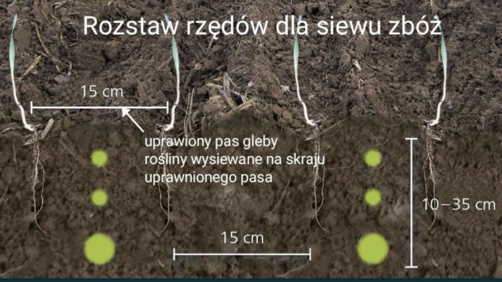 Strip Till Siew pasowy siew bezorkowy Horsch Focus