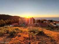 Terreno com projeto no Rochão, Camacha, Madeira