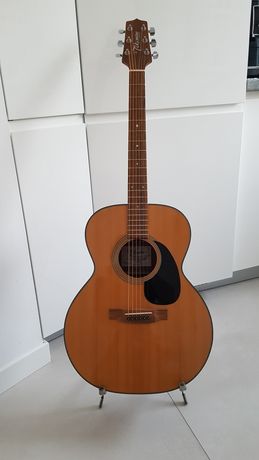 Gitara Takamine G220
