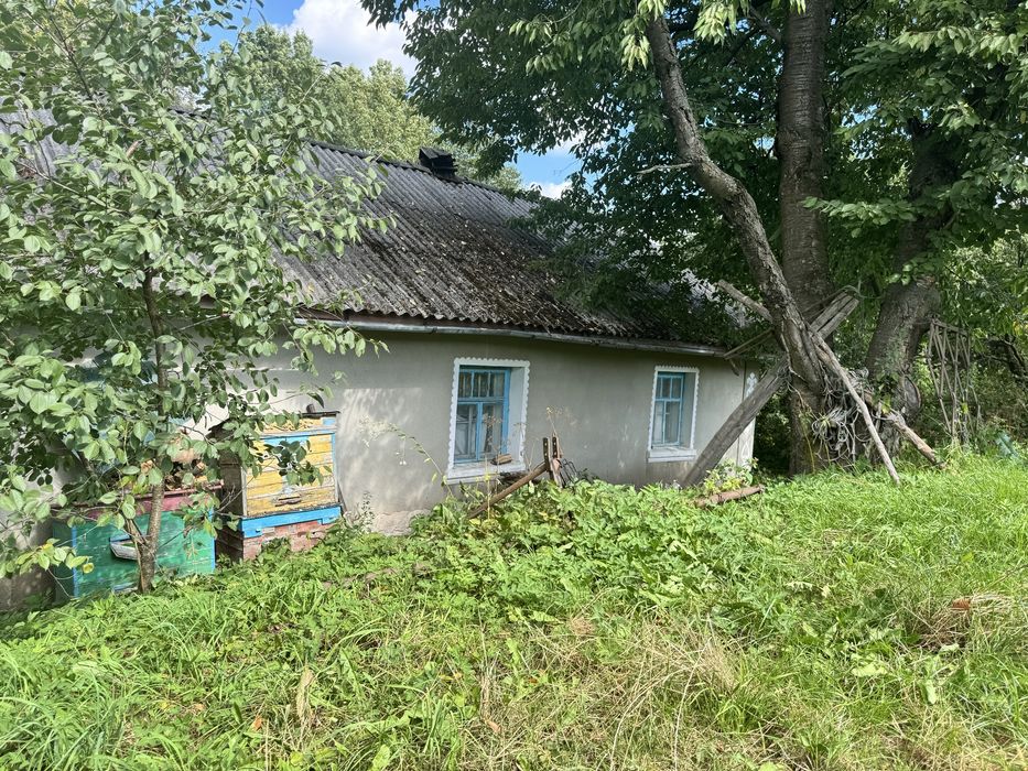 Невеликий будинок в Тернопільській обл. із земельною ділянкою.