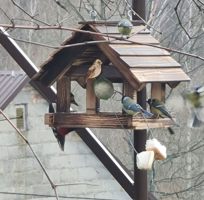 Drewniany karmnik dla ptaków XXL – opalany, solidny, ozdoba ogrodu