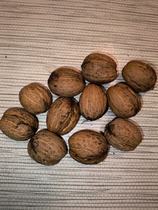 Sprzedam stroik orzechowy świąteczny