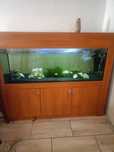 Sprzedam akwarium 500l