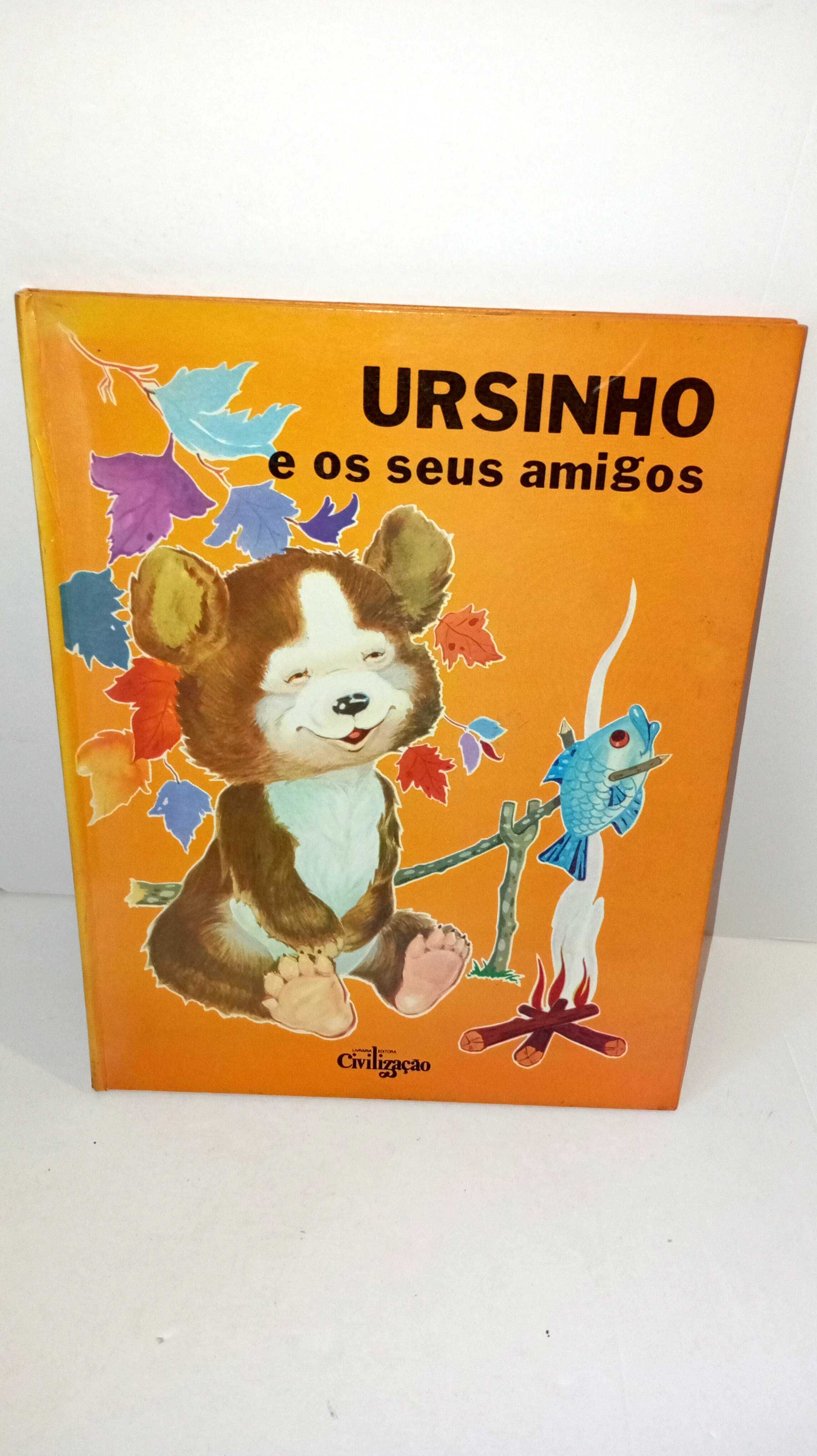 Ursinho e o seus amigos