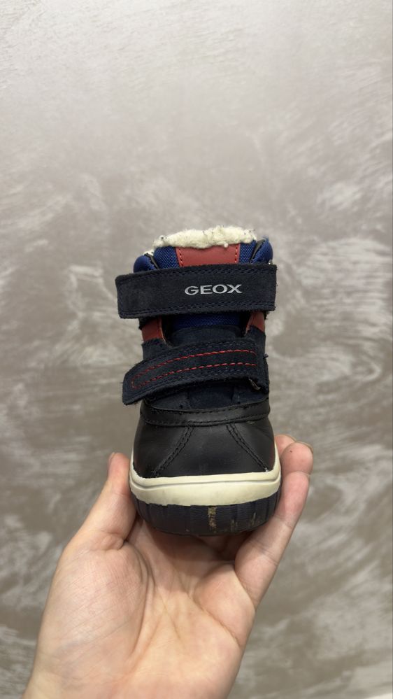 Зимние ботинки Geox 24 р.