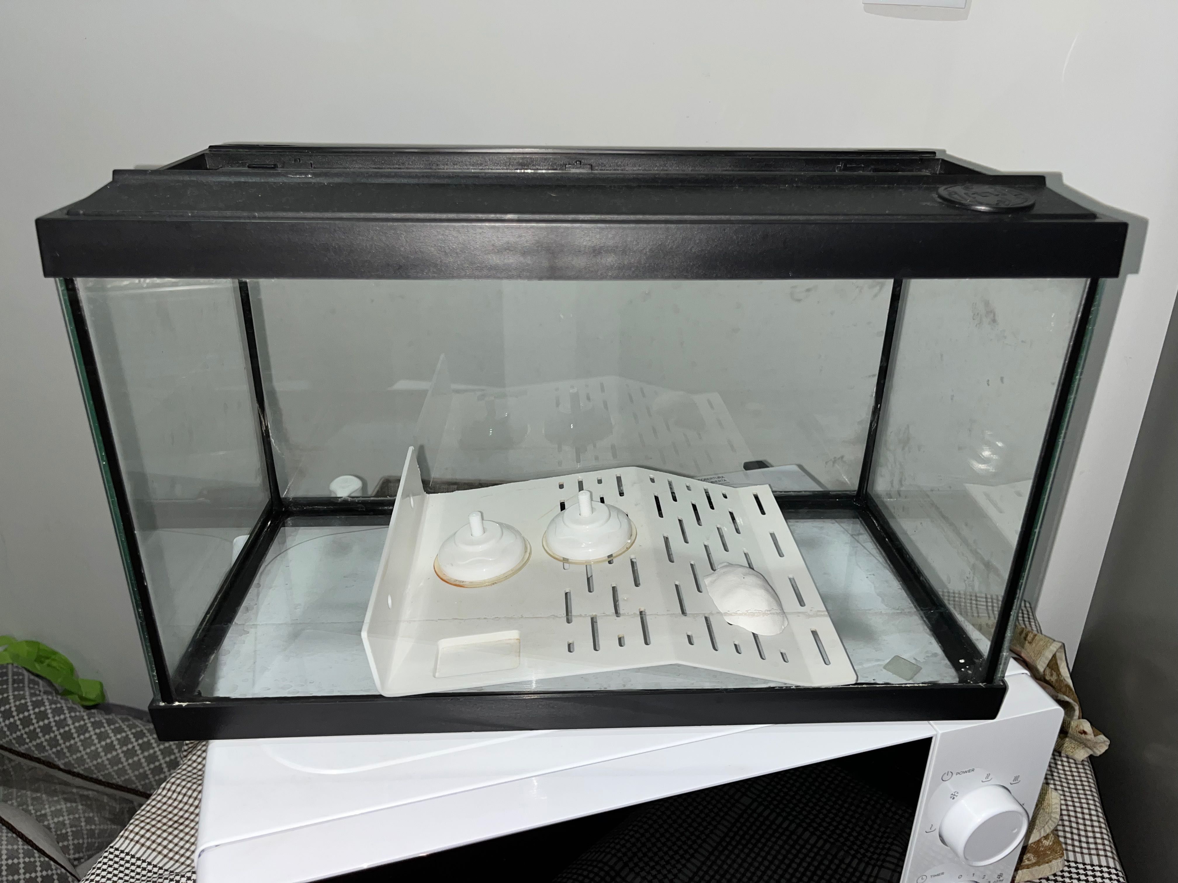 Aquário de peixe / tartaruga