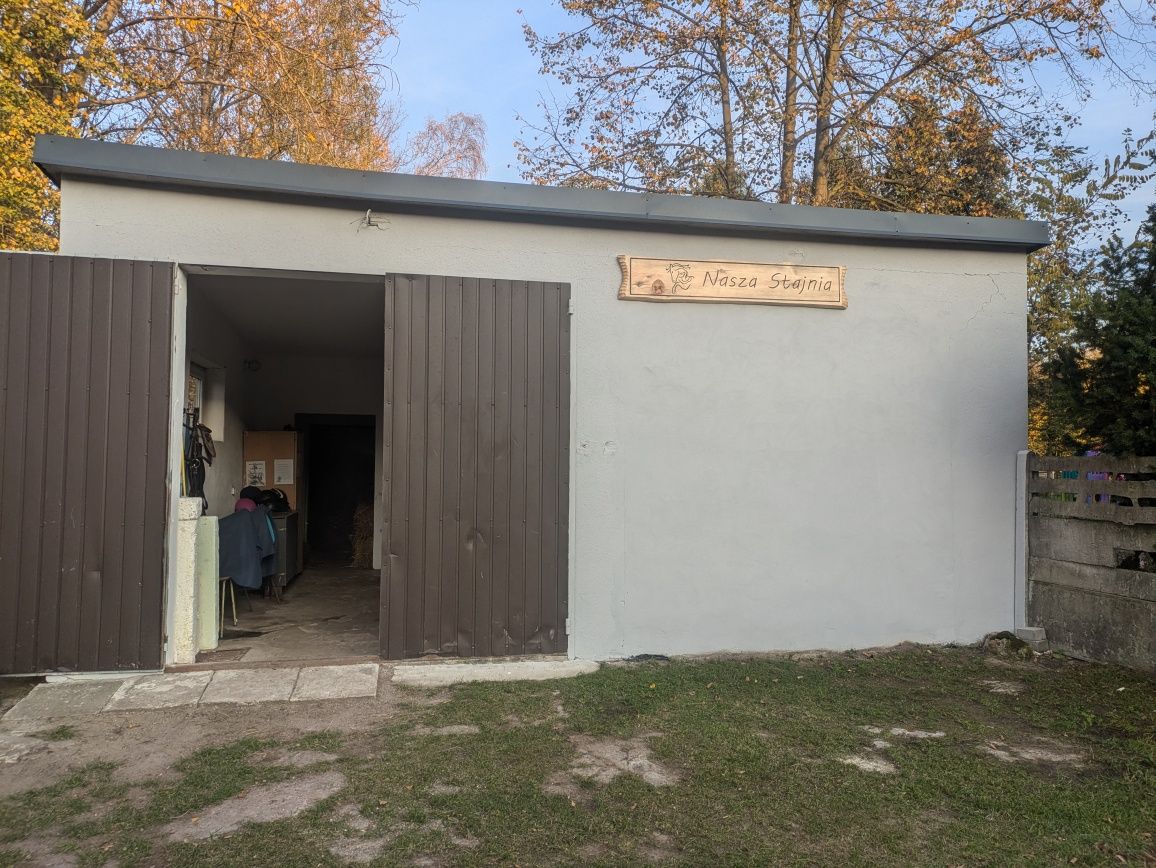 Obornik koński nawóz za darmo
