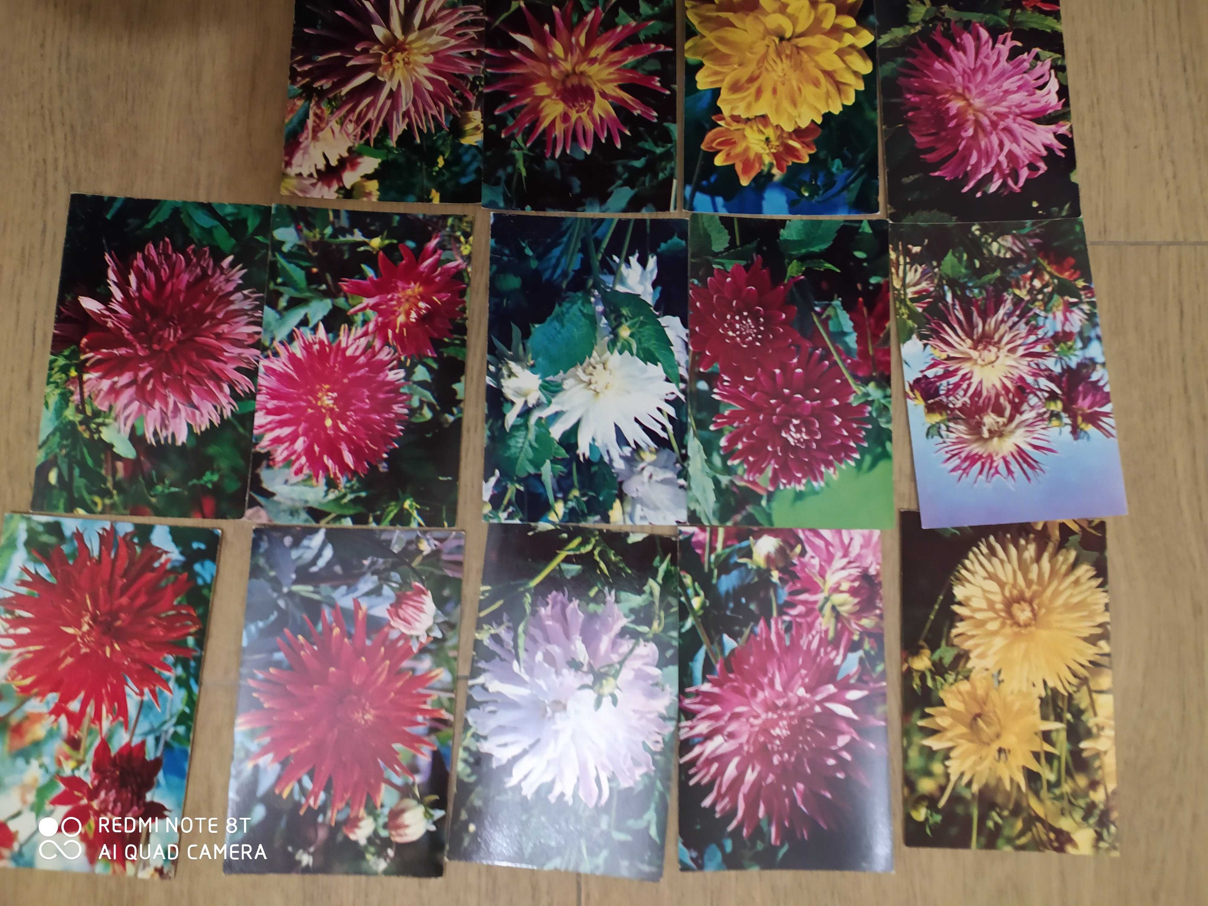 наборы открыток:хризантемы сирень гладиолусы георгины куклы