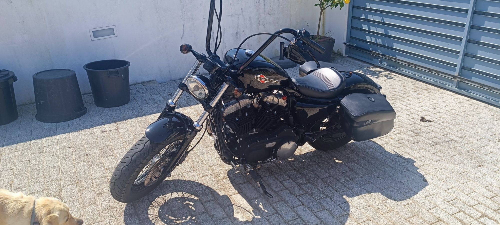 Harley Davidson Fourty Eight