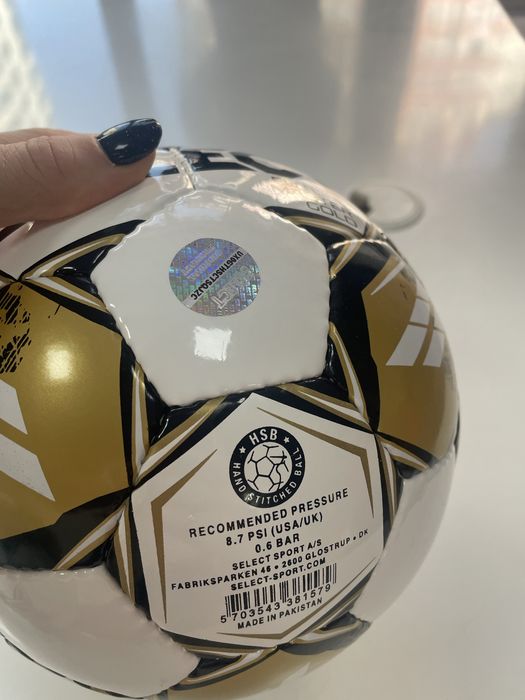 М’яч футзальний SELECT Futsal Future Master Gold FIFA Basic v24