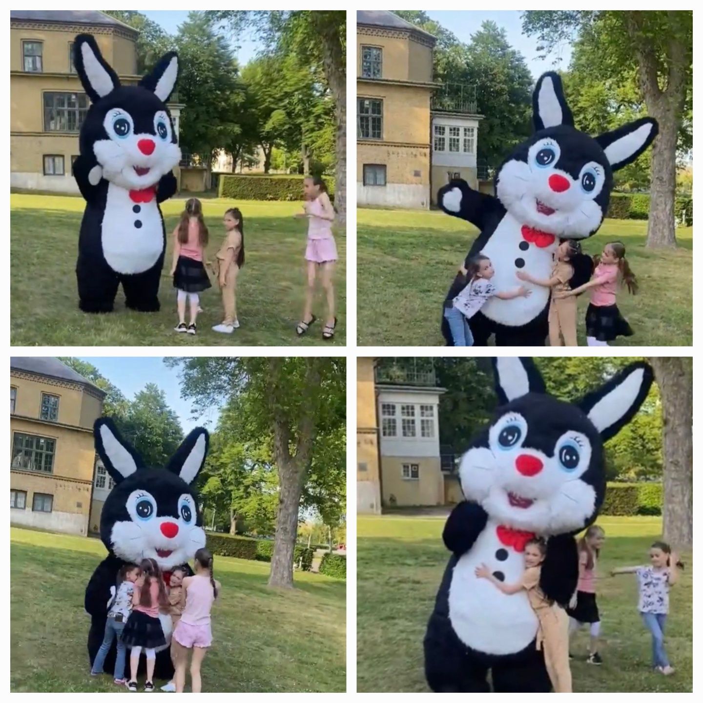 Аніматор пес Патрон,ведмідь,кролик,привітання,,вітання,поздравление,ми